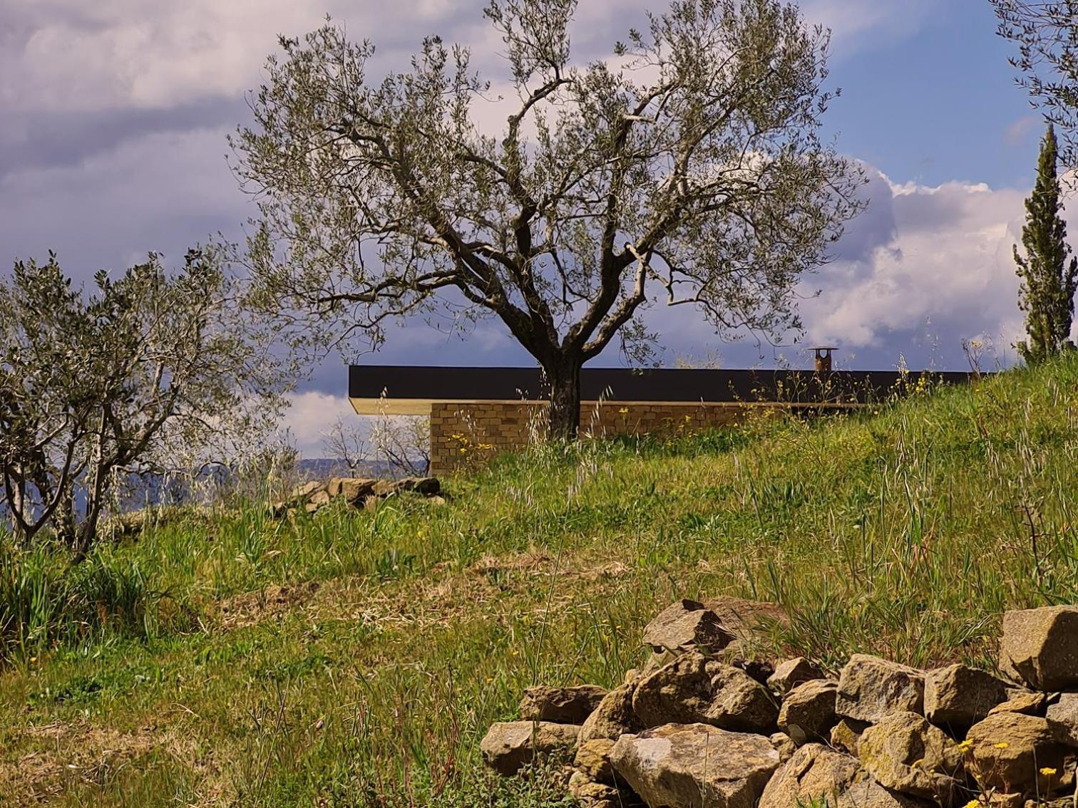 Poggio Cagnano Bed and Breakfast Manciano Buitenkant foto